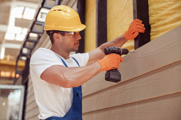 Affordable Siding Repair and Maintenance Services in Velva, ND